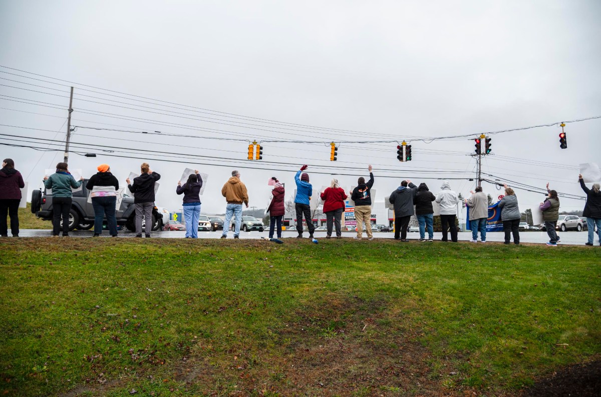 A group of people standing on a grassy beach holding signs, facing a road with traffic lights and passing cars.